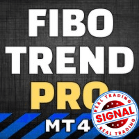 FIBO Trend PRO mt4 Conservative Strategy Tester result, 12.96% simulated ROI