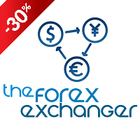 The Forex Exchanger MT5 Conservative Strategy Tester result, 16.62% simulated ROI