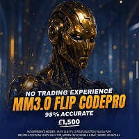 MM Flip CodePro Conservative Strategy Tester result, 6.04% simulated ROI