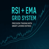 RSI Distance Grid Scalping Conservative Strategy Tester result, 24.76% simulated ROI