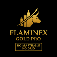 Flaminex Gold Pro Conservative Strategy Tester result, 8.55% simulated ROI