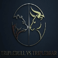 Triple bull vs triple bear Conservative Strategy Tester result, 8.56% simulated ROI