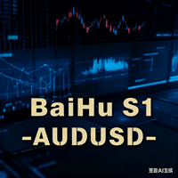BaiHu S1 Conservative Strategy Tester result, 8.59% simulated ROI