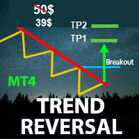 Trend Reversal MT4 Conservative Strategy Tester result, 18.93% simulated ROI