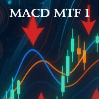 Macd MTF 1 Conservative Strategy Tester result, 8.63% simulated ROI