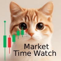 Market Time Watch Conservative Strategy Tester result, 8.66% simulated ROI