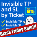 Invisible TP and SL by Ticket MT5 trading robot logo