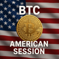 BTC American Session Conservative Strategy Tester result, 8.72% simulated ROI