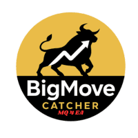 BigMove Catcher trading robot logo