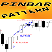 PinBar Pattern mk trading robot logo