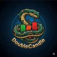 DoubleCandle Conservative Strategy Tester result, 8.97% simulated ROI