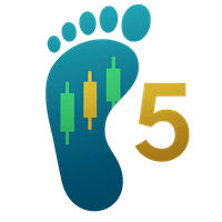 Footprint MT5 Conservative Strategy Tester result, 9.01% simulated ROI