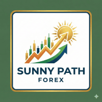 Sunny Path Indicator Conservative Strategy Tester result, 9.21% simulated ROI