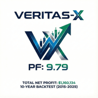 VeritasX Conservative Strategy Tester result, 9.23% simulated ROI