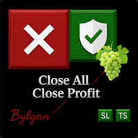 One Click B MT5 Conservative Strategy Tester result, 9.26% simulated ROI