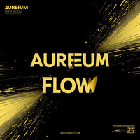Aureum Flow MT5 Conservative Strategy Tester result, 9.43% simulated ROI