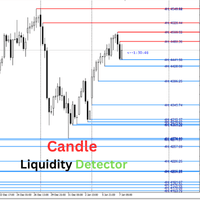 Candle Liquidity Detector trading robot logo