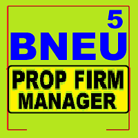 Bneu Prop Firm Manager Conservative Strategy Tester result, 9.5% simulated ROI
