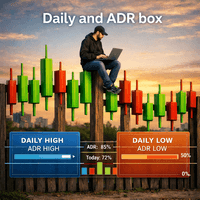 ADR und Daily box Aggressive Strategy Tester result, -31.3% simulated ROI