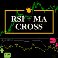RSI and MA Cross MT5 Aggressive Strategy Tester result, -31.15% simulated ROI
