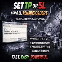 Tp or Sl Fast Conservative Strategy Tester result, 9.72% simulated ROI