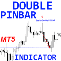 Double PinBar Pattern MT5 r trading robot logo
