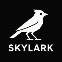 Skylark EA Conservative Strategy Tester result, 9.88% simulated ROI