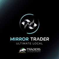 Copy Local MirrorTrader Aggressive Strategy Tester result, -30.72% simulated ROI