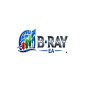 B Ray EA trading robot logo