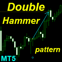 Double Hammer pattern MT5 r trading robot logo