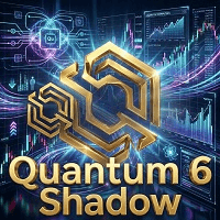 Quantum 6 shadow Conservative Strategy Tester result, 10.17% simulated ROI
