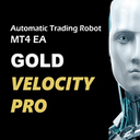 Gold Velocity Pro MT4 trading robot logo