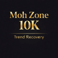 MohZone 10K EA Conservative Strategy Tester result, 10.39% simulated ROI