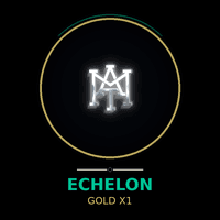 EchelonGold X1 Aggressive Strategy Tester result, -29.72% simulated ROI