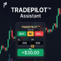 Tradepilot Assistant Aggressive Strategy Tester result, -29.03% simulated ROI
