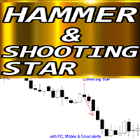 Hammer and Shooting Star pattern ms trading robot logo