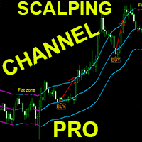 Scalping Channel Pro mt trading robot logo