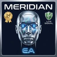 Meridian EA MT5 Aggressive Strategy Tester result, -28.63% simulated ROI