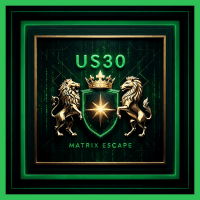 US30 Matrix Escape Aggressive Strategy Tester result, -28.53% simulated ROI
