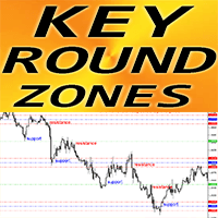 Key Round Zones mg trading robot logo