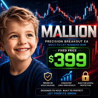 Mallion Conservative Strategy Tester result, 11.31% simulated ROI