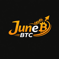June BTC Conservative Strategy Tester result, 11.38% simulated ROI