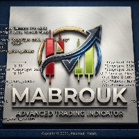 Throw Tweezers Pro Mabrouk Conservative Strategy Tester result, 11.5% simulated ROI