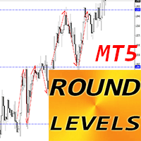 Round Levels MT5 r trading robot logo
