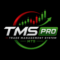 TMS Pro MT5 Conservative Strategy Tester result, 11.6% simulated ROI