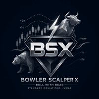 Bowler Scalper X Conservative Strategy Tester result, 11.64% simulated ROI