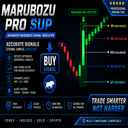 Marubozu Pro SUP trading robot logo