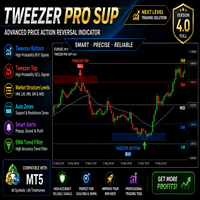 Tweezer pro Conservative Strategy Tester result, 11.8% simulated ROI
