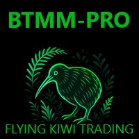 Beat the Market Maker Indicator trading robot logo