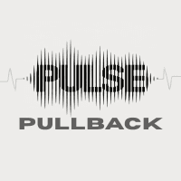 Pulse Pullback Conservative Strategy Tester result, 12.04% simulated ROI